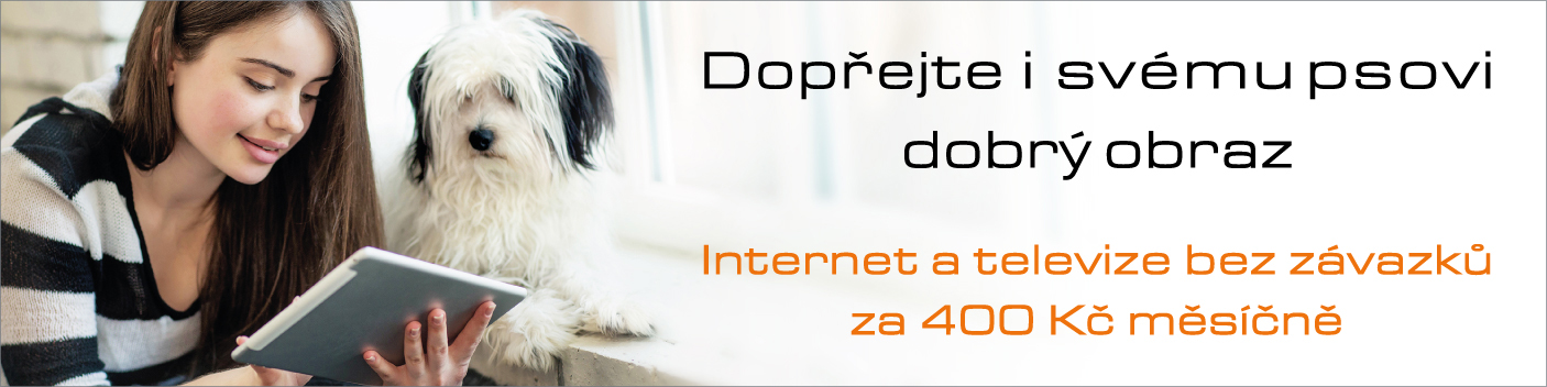 Internet a TV